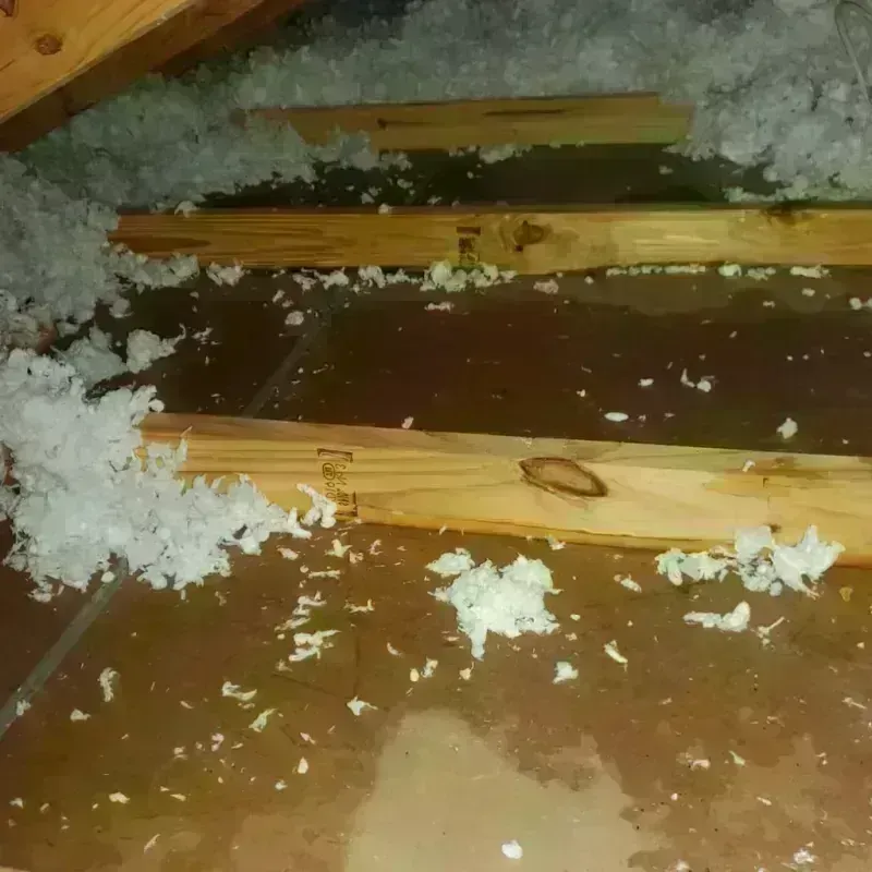 Attic Water Damage in Coopertown, TN